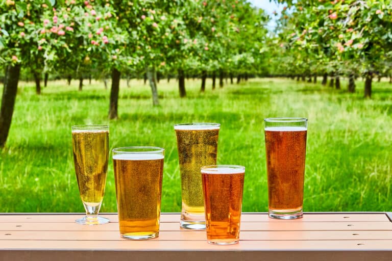 National Apple Day: Cider Makers Toast Pubs as the Lifeblood of British Hospitality