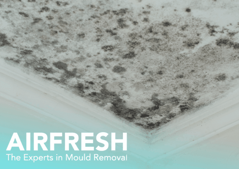 Awaab’s Law Takes Effect as Specialists Warn of Poor Remediation Risks