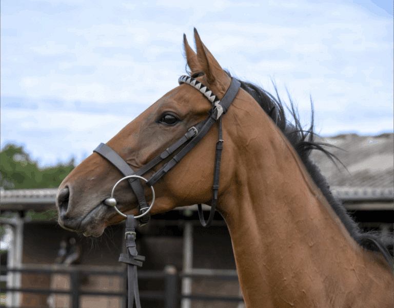 A guide to great Christmas gift ideas for dads