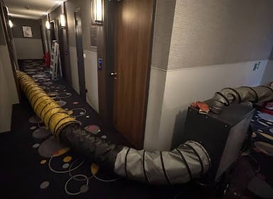 UK Accommodation Sector Faces Higher Bed Bug Removal Expenses, Warns ThermoPest