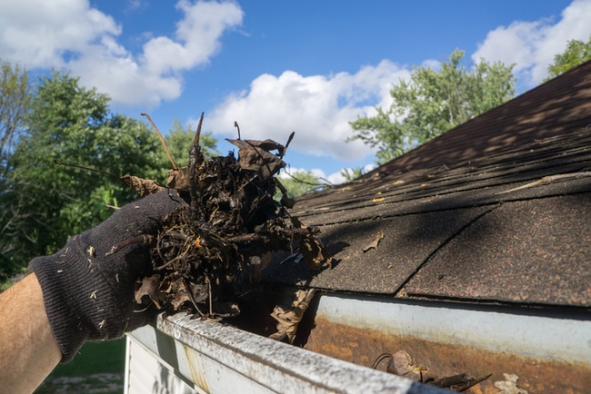 Local Gutter Cleaner Repairer Expands Focus on Professional Gutter Clearing Services for Homeowners 