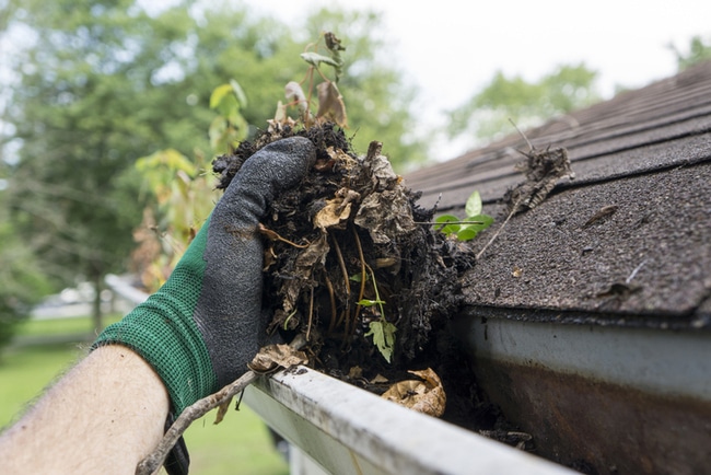 Derby property owners urged to check what is happening inside their gutters this autumn