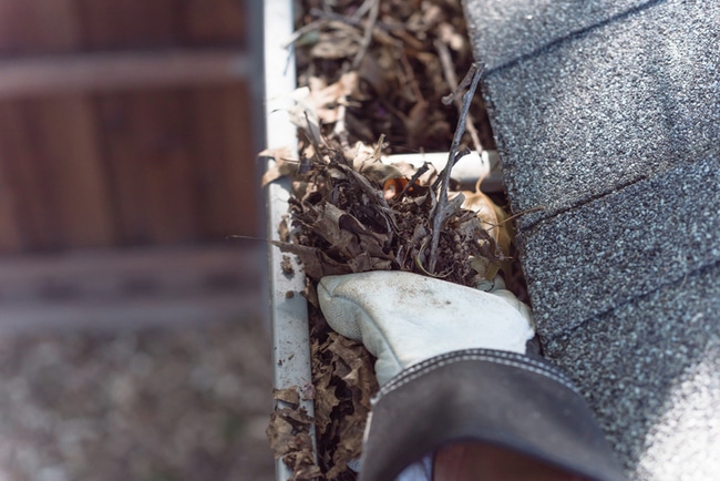 Glasgow Homeowners Can Use Gutter Photos to Check Completed Cleaning Work