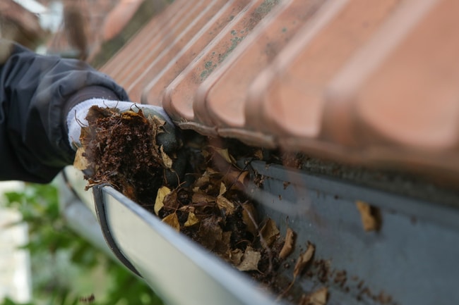 Autumn gutter cleaning in London can involve more than the visible roofline